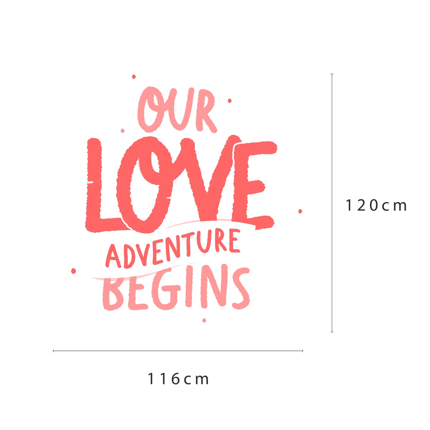 'Our Love Adventure Begins'